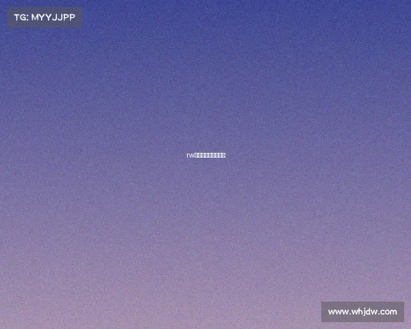 rw侠战队最新成员名单 rw侠战队最新成员名单